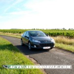 Peugeot 407 gris manitoba