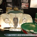 Stand Jaguar