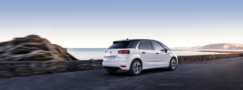 Citroën C4 Picasso Rip Curl