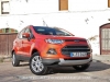 Ford-Ecosport-40