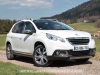 Peugeot_2008_11_mini