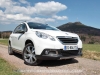 Peugeot_2008_15_mini