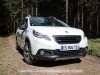 Peugeot_2008_33_mini