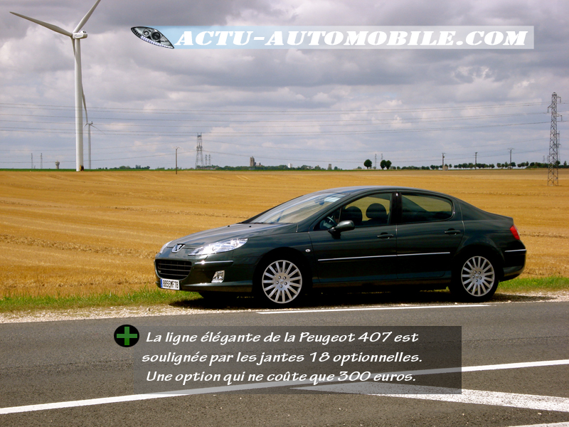 Peugeot 407 Feline 2.2 HDI 