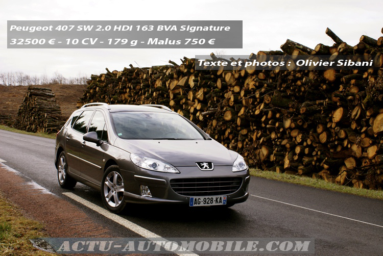 Peugeot_407_SW_Signature_HDI_163_BVA