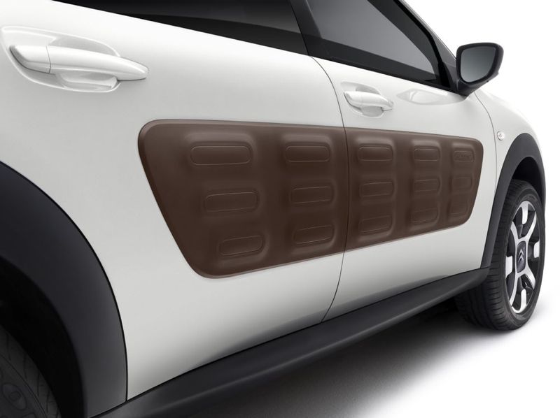 C4 Cactus