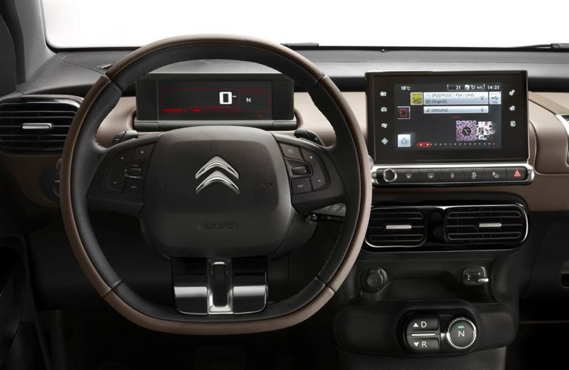 C4 Cactus