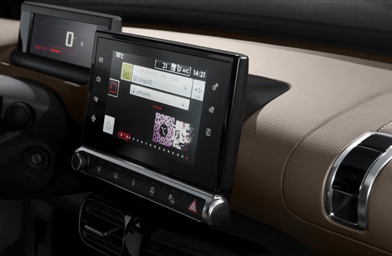 C4 Cactus
