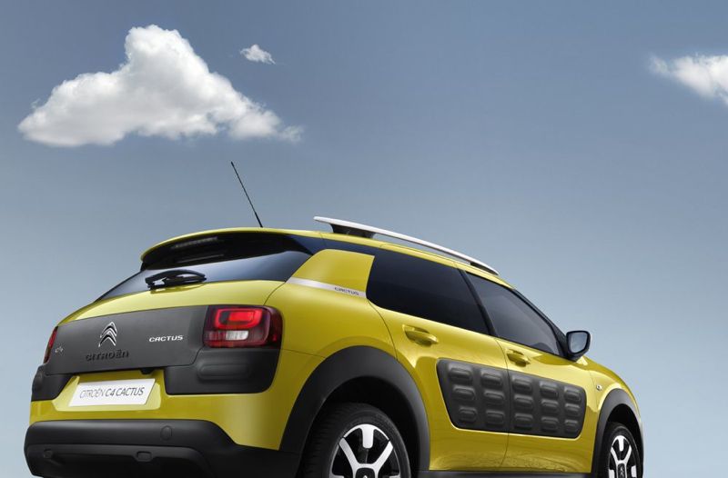 C4 Cactus