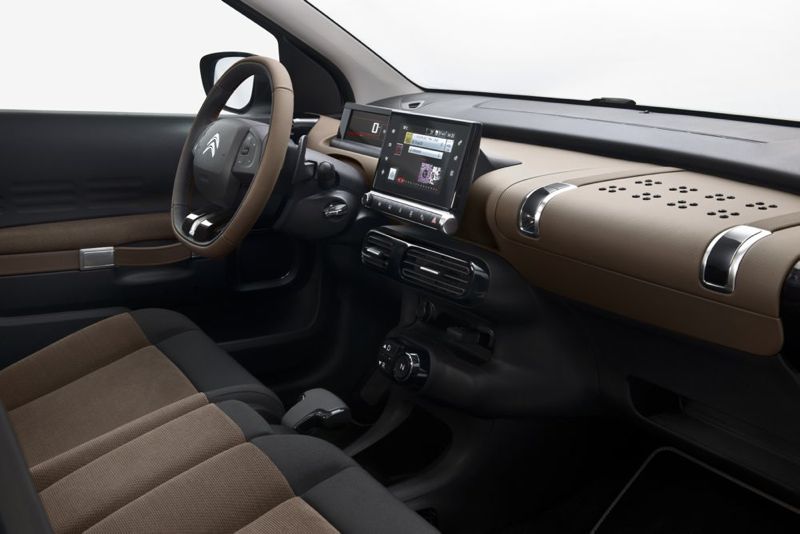 C4 Cactus