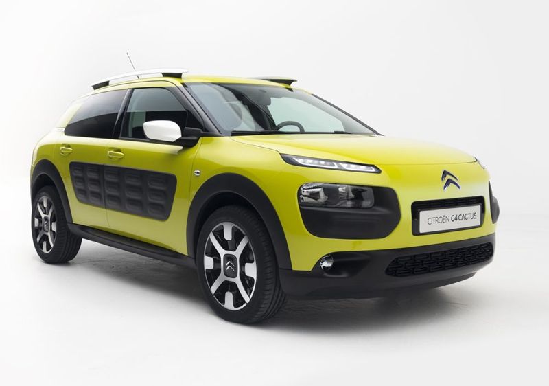 C4 Cactus