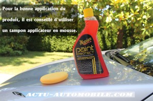 Paint Protect Meguiar's