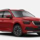 Skoda Kamiq young