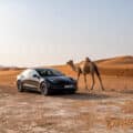 Ventes en chute : la Tesla Model 3 en pleine traversée du désert