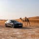 Ventes en chute : la Tesla Model 3 en pleine traversée du désert