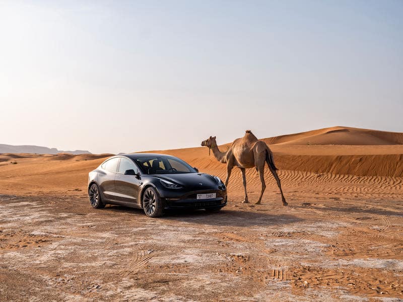 Ventes en chute : la Tesla Model 3 en pleine traversée du désert