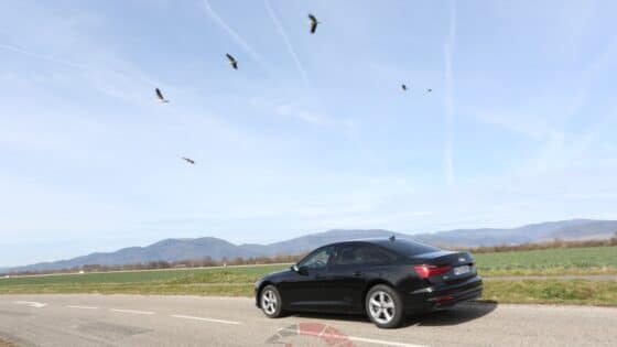 Conclusion essai Audi A6 2023 : notre avis