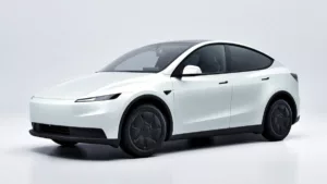 Model Y Standard