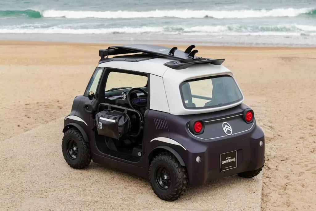 Ami Buggy Rip Curl Vision
